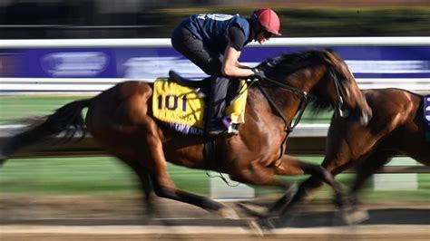 How to bet on horse racing for beginners .